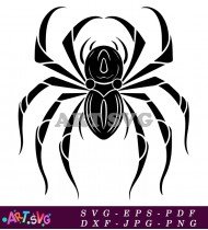 Spider Silhouette With Cobweb Royalty Free SVG