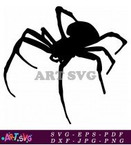 Spider Silhouette Cartoon Black And White SVG