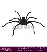 Black Silhouette Spider Illustration Clipart Vector SVG 3