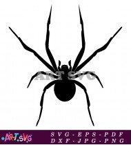 Black And White Silhouette Of A Spider SVG 1