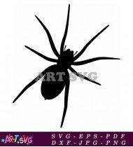 Black And White Silhouette Of A Spider SVG 6