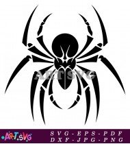 Black Spider Vector Illustration For Print SVG