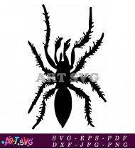 Eight-Legged Scary Halloween Spider Silhouette Design SVG