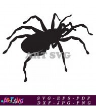 Simple Black Halloween Spider Design Illustration SVG