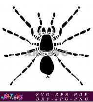 Halloween Spider Silhouette Illustration Vector SVG 1