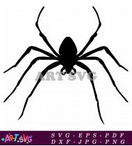 Black Spider Silhouette With Eight Legs Vector SVG