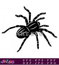 Black Spider Silhouette With Eight Legs Clipart SVG