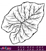 Leaf Silhouette Clipart Isolated on White Background SVG