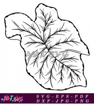 Green Leaf Illustration for Website or Print SVG