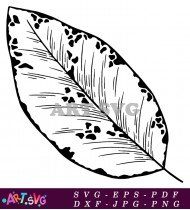 Vector Illustration Tropical Green Leaf SVG