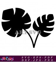 Vector Illustration of Black Monstera Leaf SVG