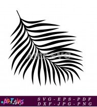 Black And White Line Art Palm Leaf Design SVG