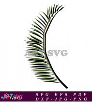 Tropical Black And White Jungle Palm Leaf SVG