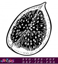 Simple Fig Illustration Vector In Black And SVG