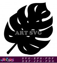 Monstera Plant Leaf Design In Black And SVG