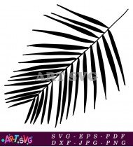 Black And White Simple Tropical Leaf Design SVG