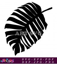 Tropical Leaf Silhouette Clip Art Design SVG 1