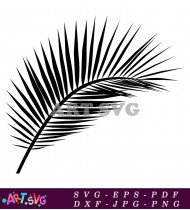 Palm Leaf Silhouette Clip Art Vector SVG