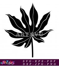 Leaf Silhouette Clip Art Black And White SVG