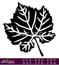 Grape Leaf Silhouette Clip Art Free Download SVG