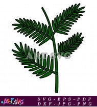 Realistic Green Fern Leaf Clipart Vector SVG