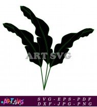 Tropical Plant Black And White Silhouette SVG