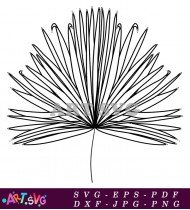 Palm Leaf Black And White Line Drawing SVG