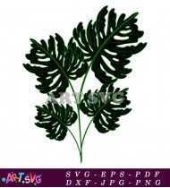 Tropical Green Leaf Monstera Plant Clipping SVG