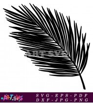 Tropical Palm Leaf Silhouette Vector Art SVG