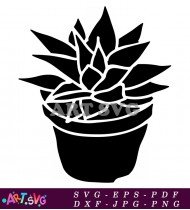 Detailed Black And White Succulent Pot SVG