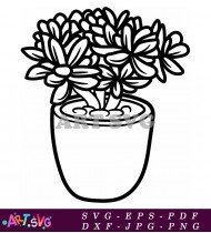 Succulent Plant Black And White Drawing SVG