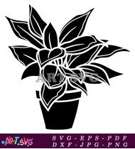 Indoor Plant Silhouette Black And White Clipart SVG