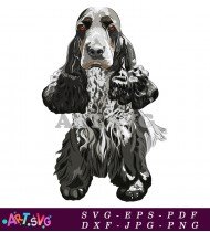 Cocker Spaniel Dog Breed Vector Illustration Design SVG