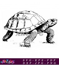 Tortoise Walking Isolated Vector Illustration SVG