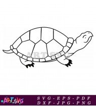 Sea Turtle Line Art Drawing SVG