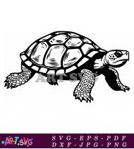 Sea Turtle Vector Illustration Design SVG