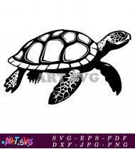 Sea Turtle Cartoon Illustration For Children SVG