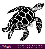 Simple Sea Turtle Cartoon Illustration SVG 1