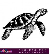 Black Turtle Silhouette Vector Illustration Image SVG