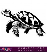 Sea Turtle Silhouette Clipart Black And White SVG 2