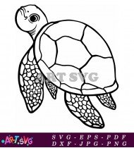 Line Drawing of a Sea Turtle SVG