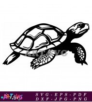 Realistic sea turtle illustration for printing needs SVG