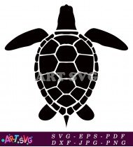 Sea turtle illustration for branding and design SVG