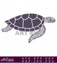 Sea Turtle Clip Art Images With Detailed Outline SVG