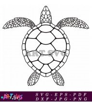 Sea Turtle Vector Illustration Download SVG