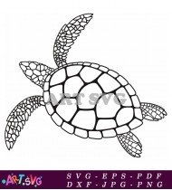 Sea Turtle Clip Art Vector Design SVG