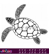 Sea Turtle Clip Art Design Free SVG