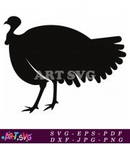 Black Turkey Silhouette Bird Clip Art SVG