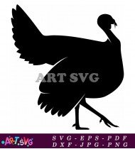 Bird Silhouette Illustration With Long Tail SVG