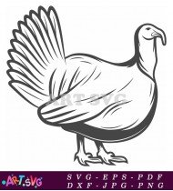 Black Turkey Silhouette In Standing Pose SVG